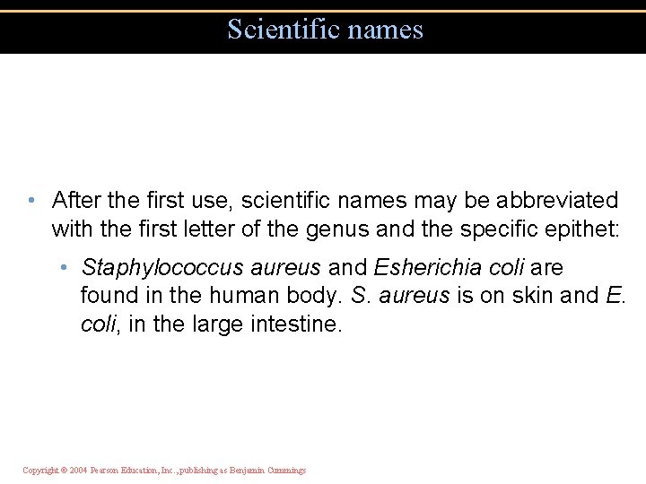 Scientific names • After the first use, scientific names may be abbreviated with the