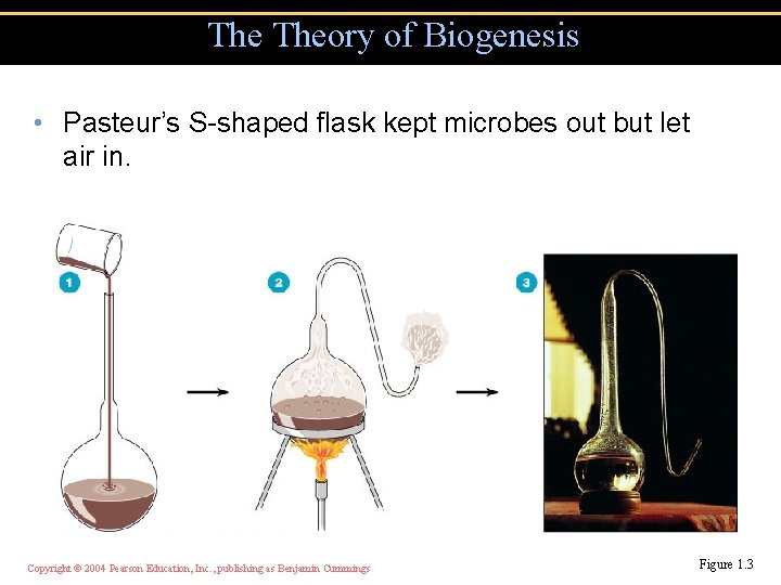 The Theory of Biogenesis • Pasteur’s S-shaped flask kept microbes out but let air
