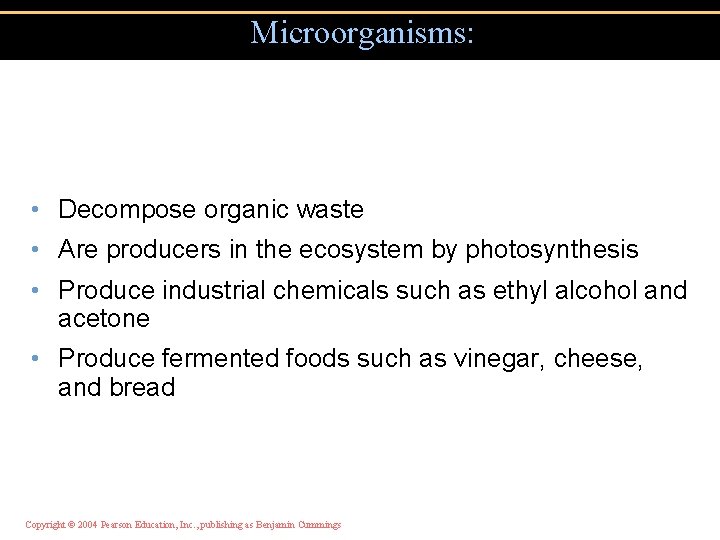 Microorganisms: • Decompose organic waste • Are producers in the ecosystem by photosynthesis •