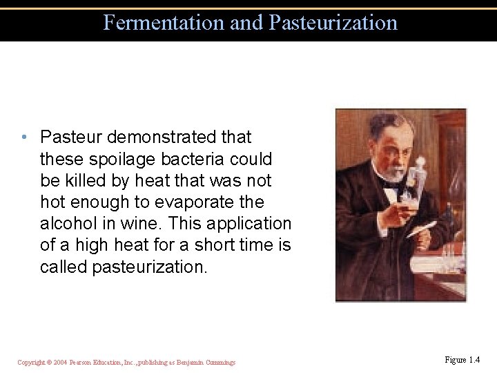 Fermentation and Pasteurization • Pasteur demonstrated that these spoilage bacteria could be killed by