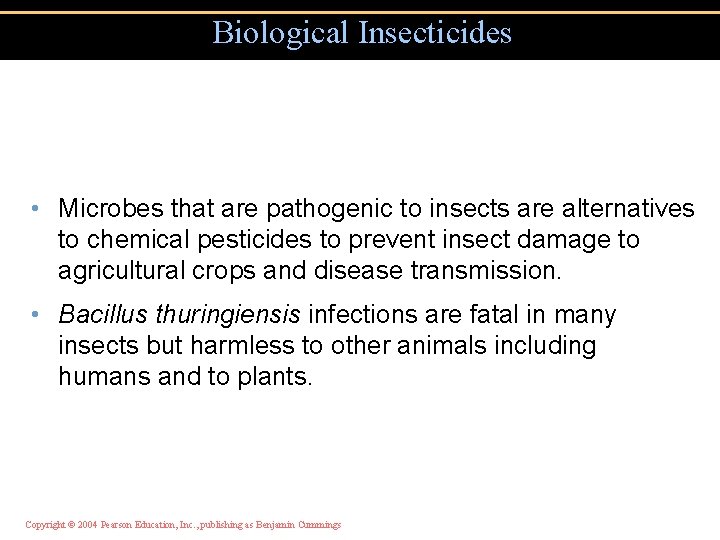 Biological Insecticides • Microbes that are pathogenic to insects are alternatives to chemical pesticides