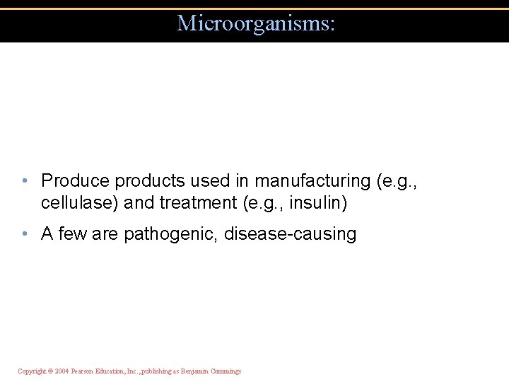 Microorganisms: • Produce products used in manufacturing (e. g. , cellulase) and treatment (e.