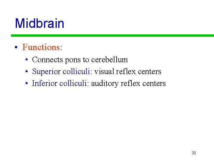 Midbrain • Functions: • Connects pons to cerebellum • Superior colliculi: visual reflex centers