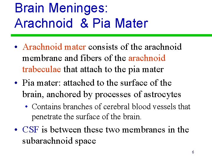 Brain Meninges: Arachnoid & Pia Mater • Arachnoid mater consists of the arachnoid membrane