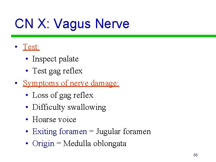 CN X: Vagus Nerve • Test: • Inspect palate • Test gag reflex •