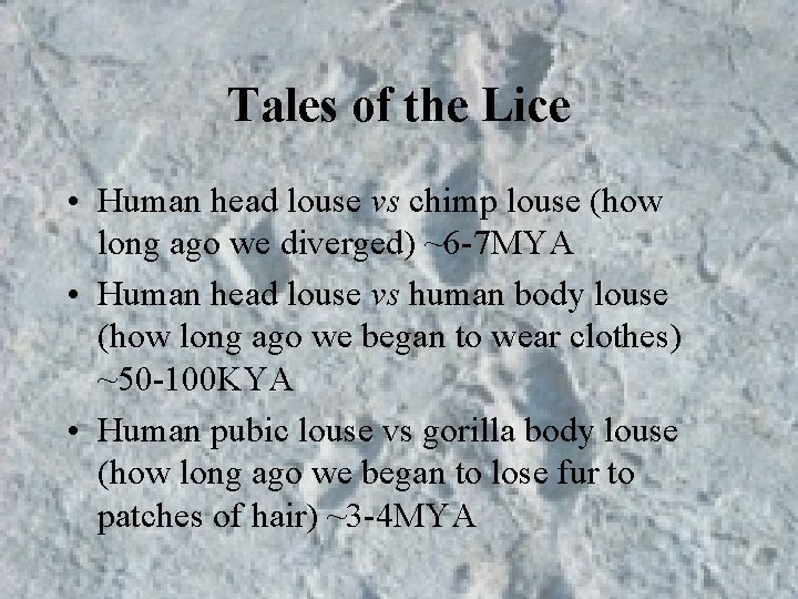 Tales of the Lice • Human head louse vs chimp louse (how long ago Tales of the Lice • Human head louse vs chimp louse (how long ago
