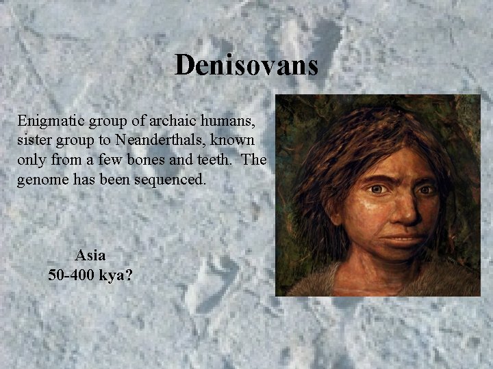 Denisovans Enigmatic group of archaic humans, sister group to Neanderthals, known only from a Denisovans Enigmatic group of archaic humans, sister group to Neanderthals, known only from a