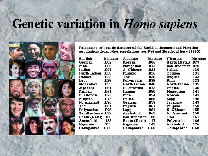Genetic variation in Homo sapiens Genetic variation in Homo sapiens