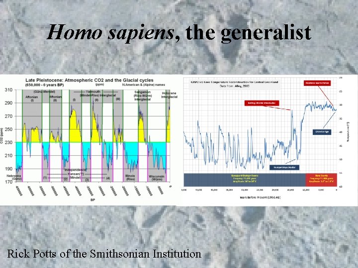 Homo sapiens, the generalist Rick Potts of the Smithsonian Institution Homo sapiens, the generalist Rick Potts of the Smithsonian Institution