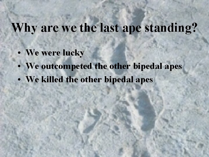 Why are we the last ape standing? • We were lucky • We outcompeted Why are we the last ape standing? • We were lucky • We outcompeted