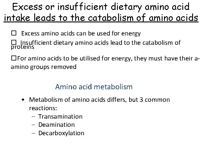 Excess or insufficient dietary amino acid intake leads to the catabolism of amino acids