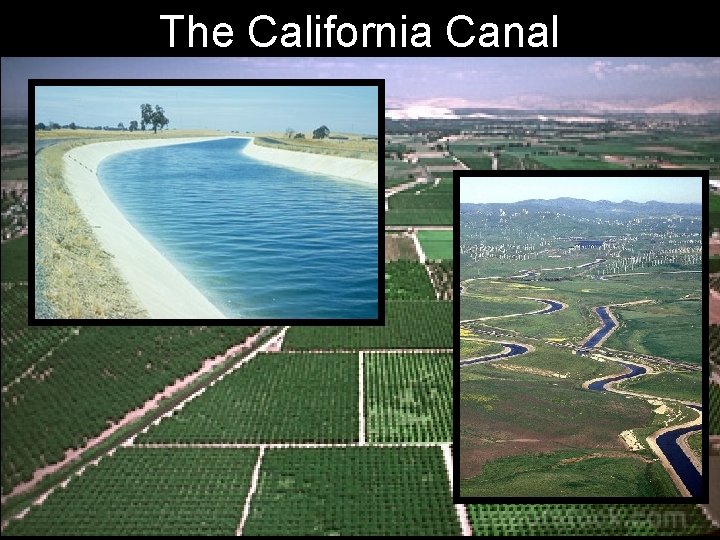 The California Canal The California Canal
