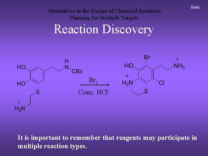 Alternatives in the Design of Chemical Synthesis Planning for Multiple Targets Home Reaction Discovery