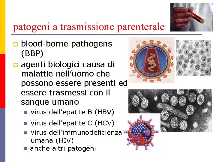patogeni a trasmissione parenterale p p blood-borne pathogens (BBP) agenti biologici causa di malattie patogeni a trasmissione parenterale p p blood-borne pathogens (BBP) agenti biologici causa di malattie