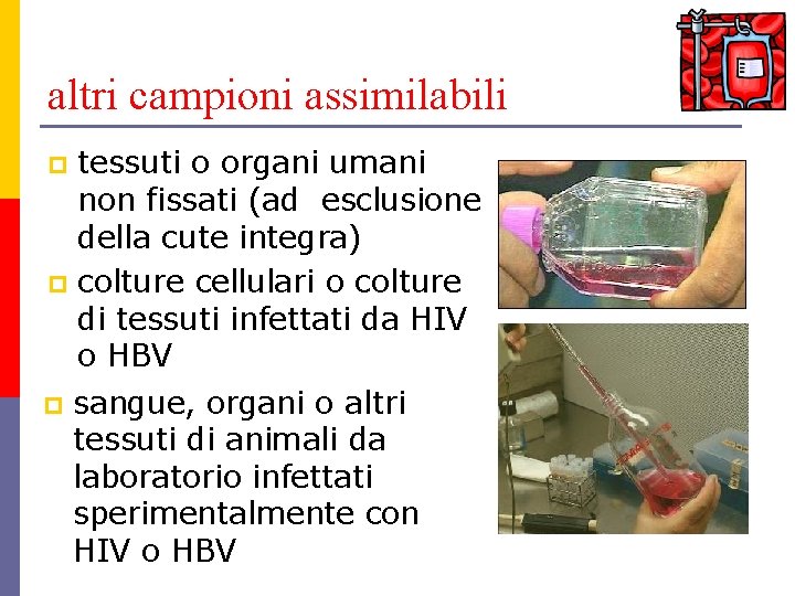 altri campioni assimilabili tessuti o organi umani non fissati (ad esclusione della cute integra)