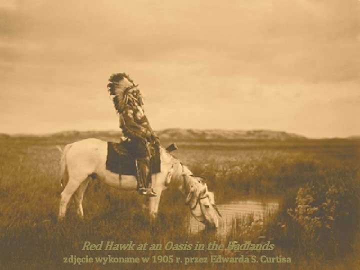  Red Hawk at an Oasis in the Badlands zdjęcie wykonane w 1905 r.