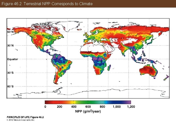 Figure 46. 2 Terrestrial NPP Corresponds to Climate 