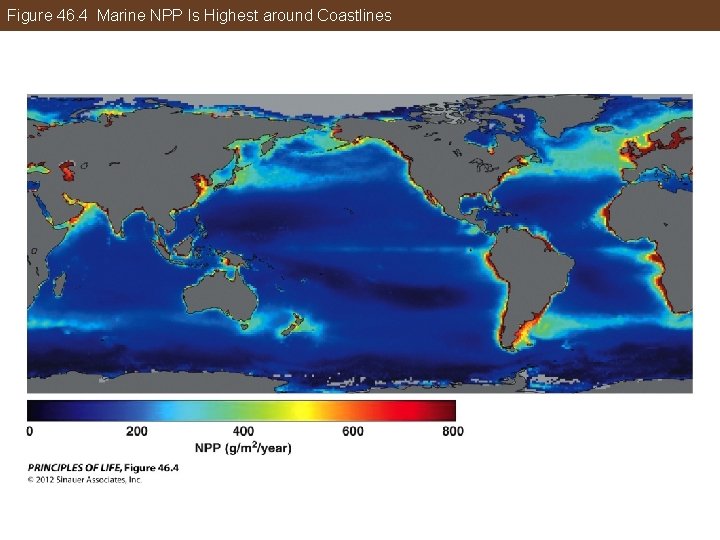 Figure 46. 4 Marine NPP Is Highest around Coastlines 