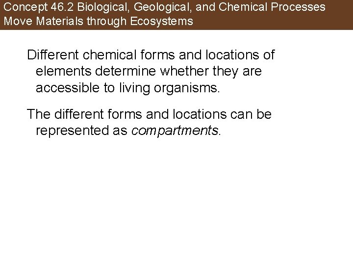 Concept 46. 2 Biological, Geological, and Chemical Processes Move Materials through Ecosystems Different chemical