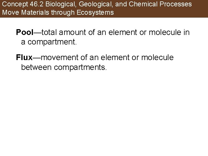 Concept 46. 2 Biological, Geological, and Chemical Processes Move Materials through Ecosystems Pool—total amount