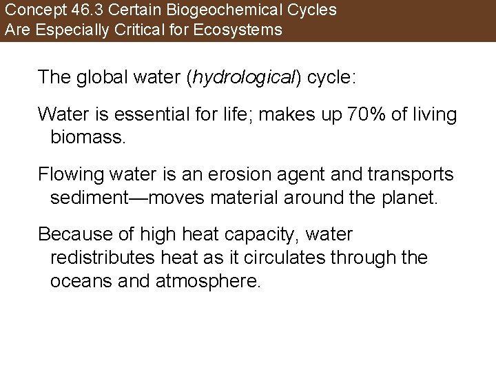 Concept 46. 3 Certain Biogeochemical Cycles Are Especially Critical for Ecosystems The global water