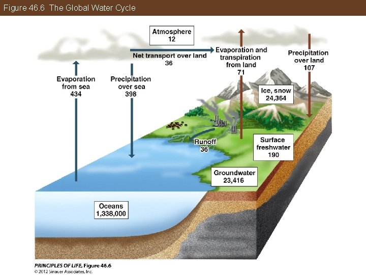 Figure 46. 6 The Global Water Cycle 