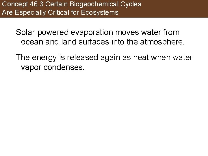 Concept 46. 3 Certain Biogeochemical Cycles Are Especially Critical for Ecosystems Solar-powered evaporation moves