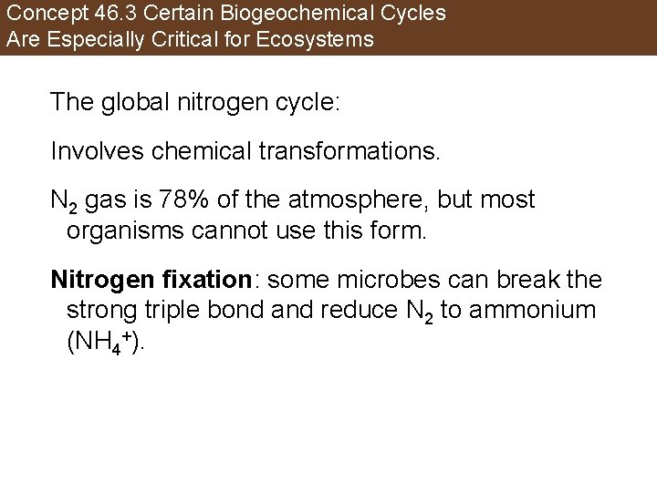 Concept 46. 3 Certain Biogeochemical Cycles Are Especially Critical for Ecosystems The global nitrogen