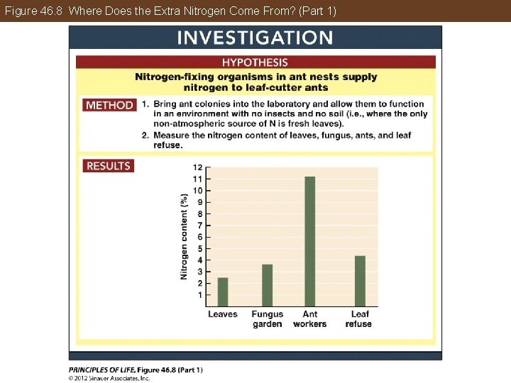 Figure 46. 8 Where Does the Extra Nitrogen Come From? (Part 1) 