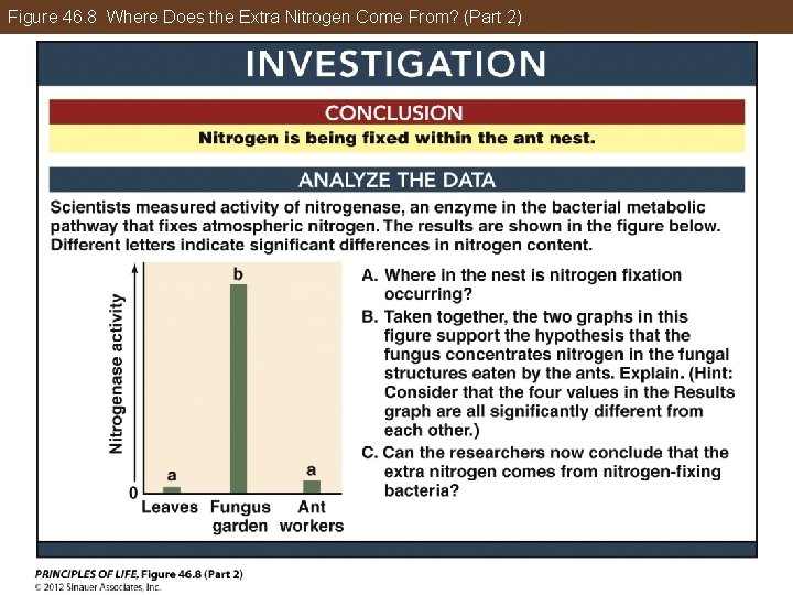 Figure 46. 8 Where Does the Extra Nitrogen Come From? (Part 2) 