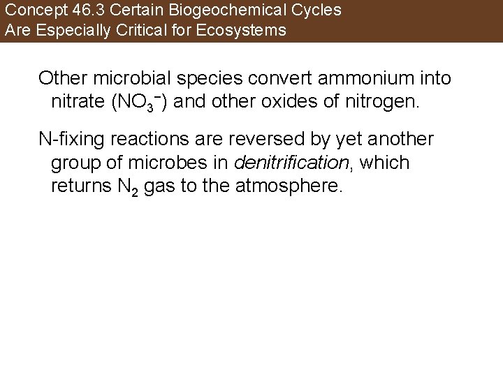 Concept 46. 3 Certain Biogeochemical Cycles Are Especially Critical for Ecosystems Other microbial species