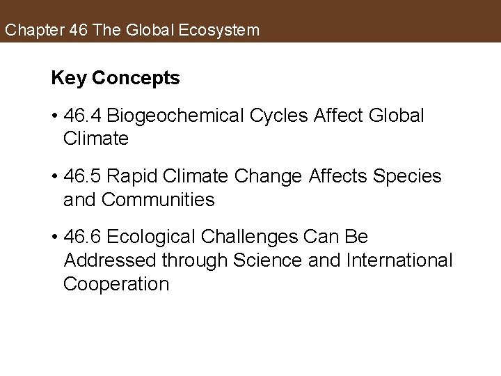 Chapter 46 The Global Ecosystem Key Concepts • 46. 4 Biogeochemical Cycles Affect Global