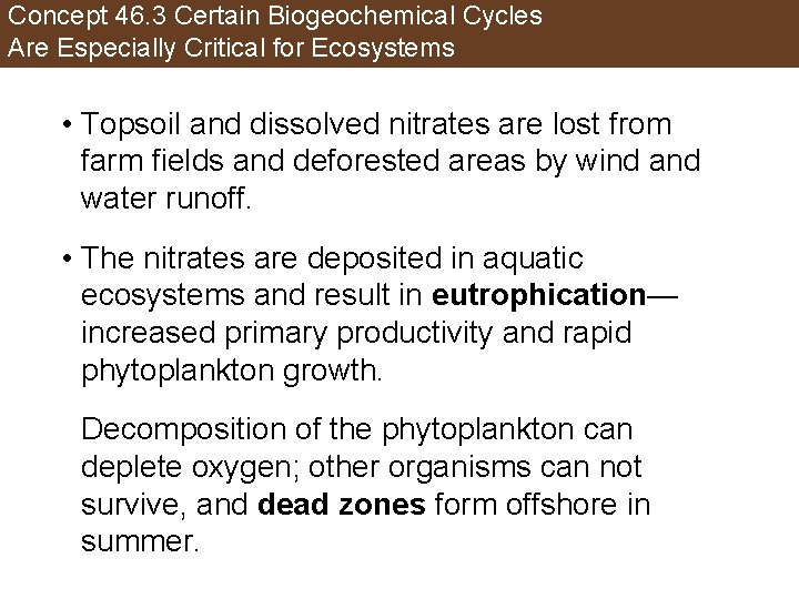 Concept 46. 3 Certain Biogeochemical Cycles Are Especially Critical for Ecosystems • Topsoil and