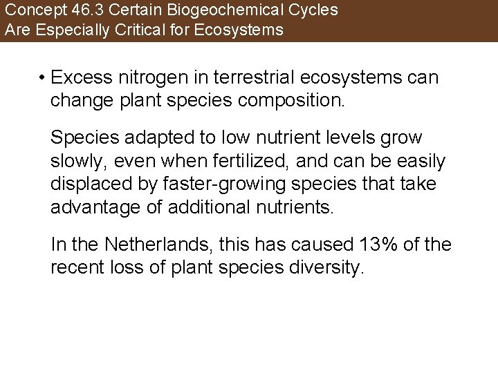 Concept 46. 3 Certain Biogeochemical Cycles Are Especially Critical for Ecosystems • Excess nitrogen