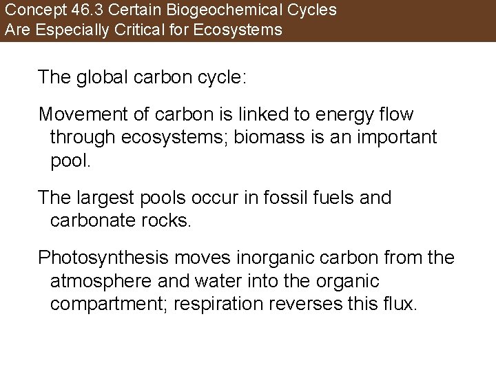 Concept 46. 3 Certain Biogeochemical Cycles Are Especially Critical for Ecosystems The global carbon