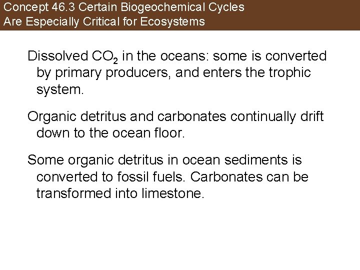 Concept 46. 3 Certain Biogeochemical Cycles Are Especially Critical for Ecosystems Dissolved CO 2