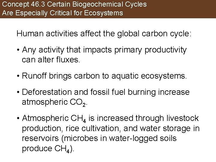 Concept 46. 3 Certain Biogeochemical Cycles Are Especially Critical for Ecosystems Human activities affect