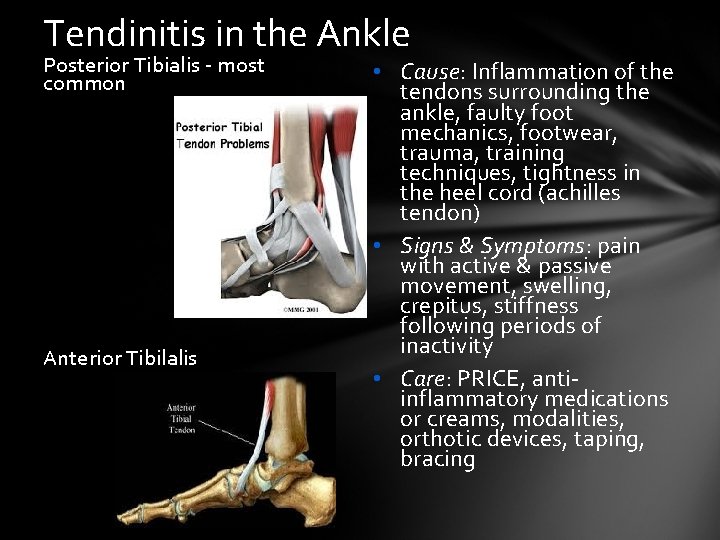 Tendinitis in the Ankle Posterior Tibialis - most common Anterior Tibilalis • Cause: Inflammation