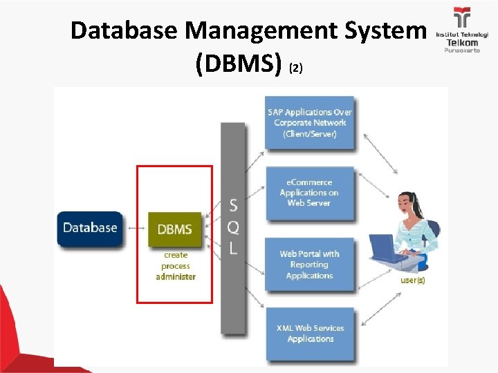 Database Management System (DBMS) (2) 