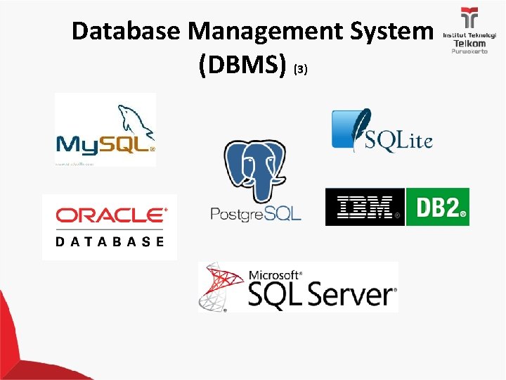 Database Management System (DBMS) (3) 