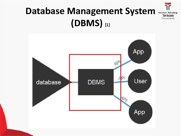 Database Management System (DBMS) (1) 