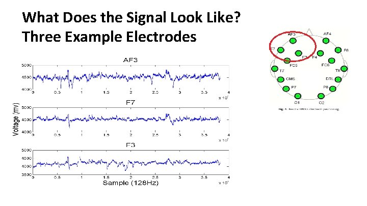 What Does the Signal Look Like? Three Example Electrodes 