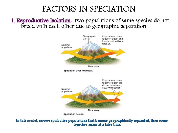 FACTORS IN SPECIATION 1. Reproductive Isolation: two populations of same species do not breed