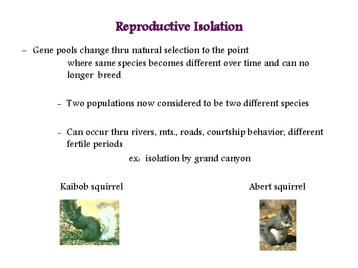 Reproductive Isolation - Gene pools change thru natural selection to the point where same