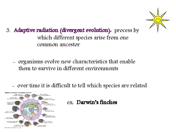 3. Adaptive radiation (divergent evolution): process by which different species arise from one common