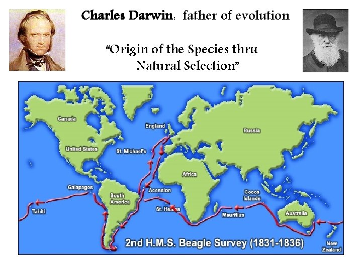 Charles Darwin: father of evolution “Origin of the Species thru Natural Selection” 