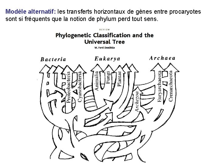 Modèle alternatif: les transferts horizontaux de gènes entre procaryotes sont si fréquents que la