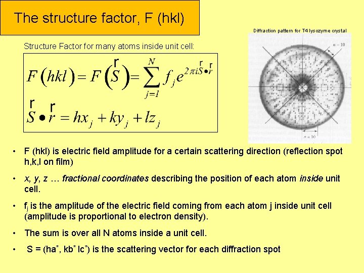 The structure factor, F (hkl) Diffraction pattern for T 4 lysozyme crystal Structure Factor