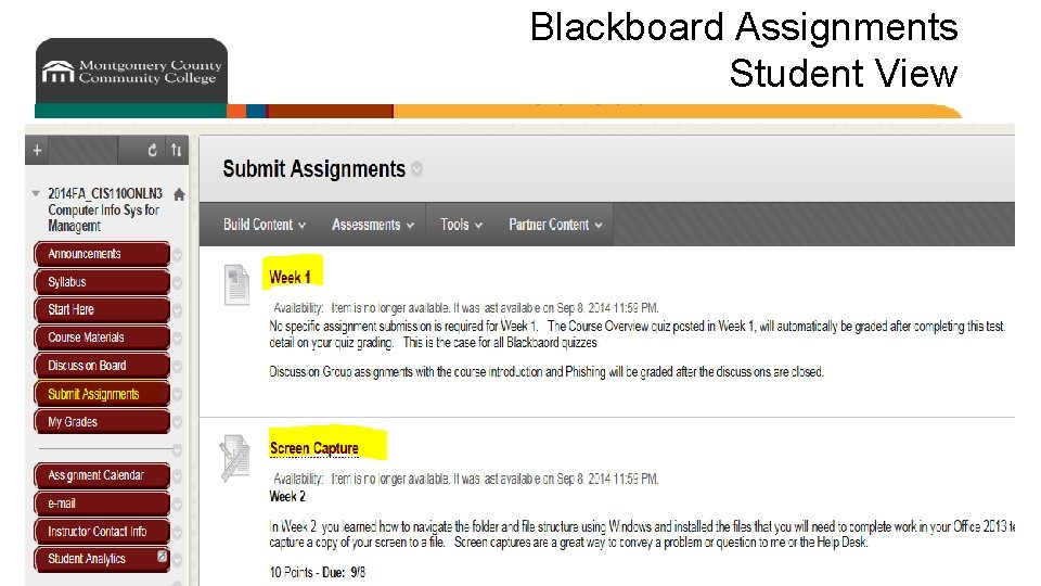 Blackboard Assignments Student View 