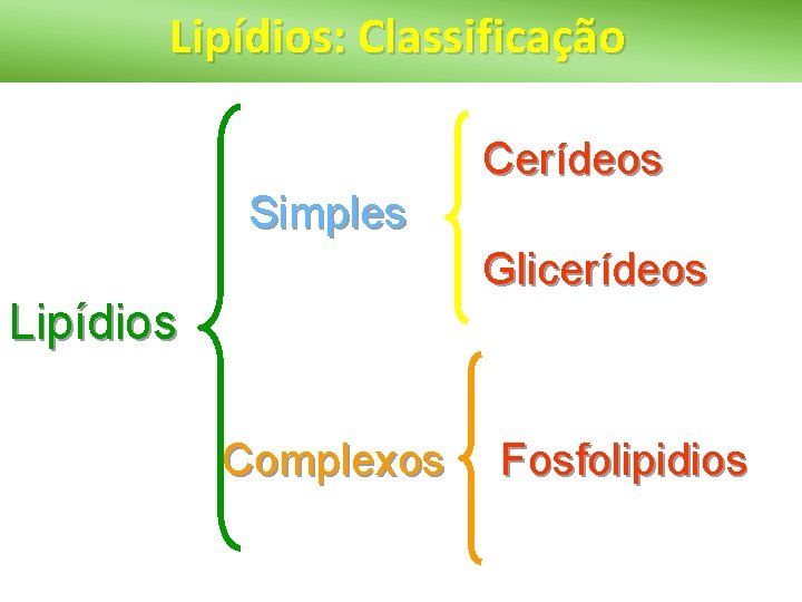 Lipídios: Classificação Cerídeos Simples Glicerídeos Lipídios Complexos Fosfolipidios 